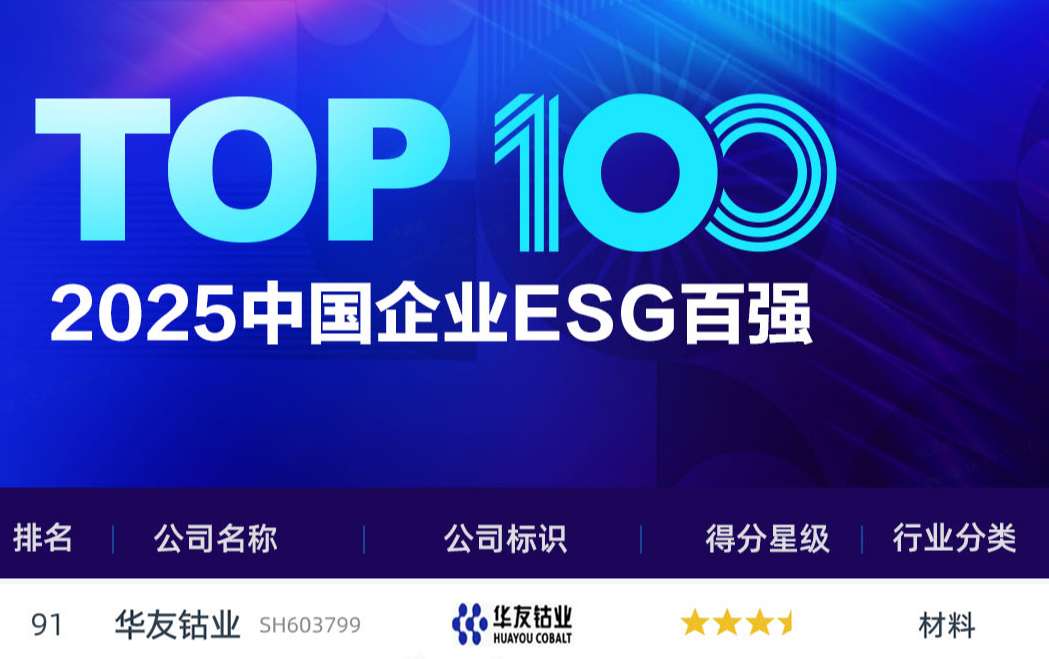 xinlangcaijingESG100.jpg
